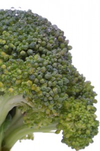 broccoli beschermt tegen kanker